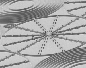 SEM-image of photoresist-pattern with azimutal sectors